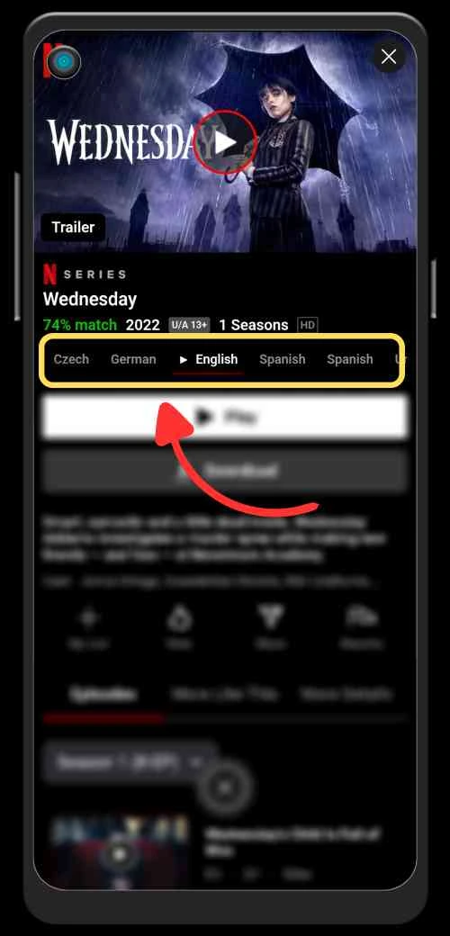 Multi-Language Audio screen in NetMirror app