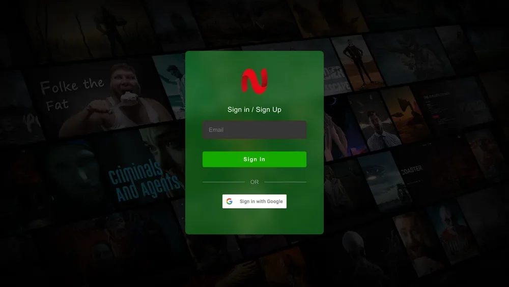 NetMirror Sign in / Sign Up screen with Email and Google options on PC browser